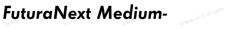 FuturaNext Medium字体转换